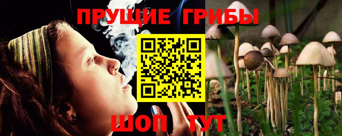 Альметьевск  Галлюциногенные грибы мухоморы  Вход с VPN 