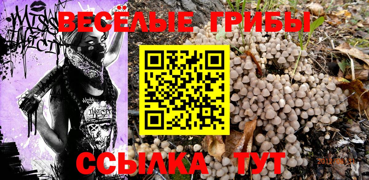 Галлюциногенные грибы мицелий Альметьевск